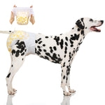 Dalmatian wearing Dono pull-up disposable female dog diaper in yellow paw print pattern, Large size, with hands holding the diaper open showing elastic waistband, on white background