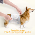 Step 1 how-to-use guide showing hands expanding Dono bone print male dog wrap diaper around a Corgi's belly, captioned