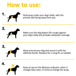 Dono male dog wrap diaper 4-step how-to-use guide: step 1 hold wrap under dog's belly with printed side facing away, step 2 ensure snug fit against belly with adequate coverage, step 3 wrap around and secure with adhesive bands, step 4 monitor wetness indicator and change when it turns blue