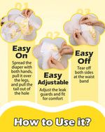 Dono pull-up female dog diaper how-to-use guide showing 3 steps: easy on by pulling over legs and freeing tail, easy adjustable by fitting leak guards, and easy off by tearing both sides at the waistband