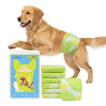 Golden Retriever leaping mid-air wearing Dono's Diary male dog wrap diaper in green tennis ball print, with blue L 20-count packaging and stack of folded diapers, on white background