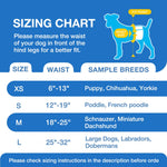 Dono's Diary male dog diaper sizing chart: measure waist in front of hind legs; XS 6