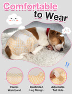 Dono's Diary female dog diaper