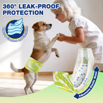 Jack Russell Terrier standing on hind legs playing with young girl wearing Dono's Diary male dog wrap diaper in green tennis ball print,