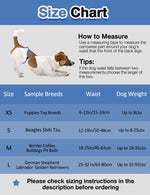 Dono male dog wrap diaper size chart: XS waist 6–13in/15–33cm up to 8lbs for Puppies/Toy Breeds, S waist 12–19in/30–48cm up to 8–25lbs for Beagles/Shih Tzu, M waist 18–25in/45–63cm up to 18–35lbs for Border Collies/Bulldogs/Pit Bulls, L waist 25–32in/63–80cm up to 35–55lbs for German Shepherd/Labrador/Golden Retrievers, with measuring guide showing Jack Russell Terrier, on blue and white background