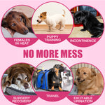 Dono female dog diaper use case infographic showing 6 scenarios: females in heat, puppy training, incontinence, surgery recovery, travel, and excitable urination —