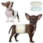 Two Chihuahua puppies wearing Dono disposable male dog wrap diapers — brown-and-white puppy in teal pet-icon print and dark brown puppy with red heart collar in yellow pet-icon print — with both diaper designs shown flat, on white background