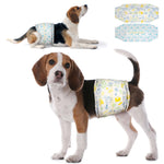 Beagle wearing Dono disposable male dog wrap diaper in yellow pet-icon print, standing and lying down views, with both diaper designs shown flat — yellow pet-icon print and teal pet-icon print — on white background