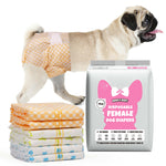 Fawn Pug wearing Dono's Diary disposable female dog diaper in orange gingham print, side view with tongue out, with stack of four folded diapers (orange gingham, yellow polka dot, green stripe, blue paw-print) and Dono's Diary S packaging, on white background