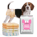 Tricolor Beagle wearing Dono's Diary disposable female dog diaper in orange gingham print, side view, with stack of four folded diapers (orange gingham, yellow polka dot, green stripe, blue paw-print) and Dono's Diary M packaging, on white background