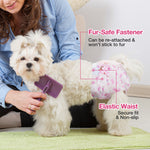 Maltese wearing Dono disposable female dog diaper, callouts highlighting fur-safe re-attachable fastener and non-slip elastic waistband for secure fit