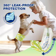Mixed breed dog wearing Dono's Diary belly band diaper playing with a young girl indoors, highlighting 360° leak-proof protection, adjustable elastic waist, and comfort and flexibility