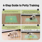 Dono Disposable Pee Pads for Potty Training, Super Absorption & Leak-Proof, Soccer Field Design