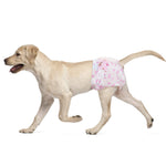 Labrador Retriever walking while wearing Dono disposable female dog diaper in pink cute pattern, side view on white background, showing flexible fit for Large size dogs