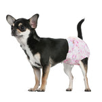 Black and tan Chihuahua wearing Dono disposable female dog diaper in pink cute pattern, side view on white background, showing snug fit for X-Small size dogs