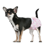 Black and tan Chihuahua wearing Dono disposable female dog diaper in pink cute pattern, side view on white background, showing snug fit for X-Small size dogs