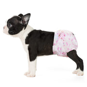 Boston Terrier puppy wearing Dono disposable female dog diaper in pink cute pattern, side view on white background, showing secure fit for X-Small size dogs