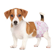 Jack Russell Terrier puppy wearing Dono disposable female dog diaper in pink cute pattern, side view on white background, showing secure fit for Small size dogs