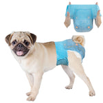 Pug wearing Dono disposable female dog diaper in blue denim pattern, Medium size, with inset showing hands stretching open the diaper to display elastic waistband and tail hole, on white background