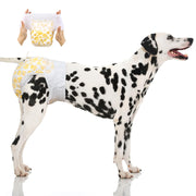 Dalmatian wearing Dono pull-up disposable female dog diaper in yellow paw print pattern, Large size, with hands holding the diaper open showing elastic waistband, on white background