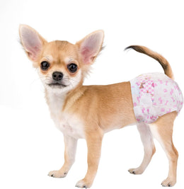 Chihuahua wearing Dono disposable female dog diaper in pink cute pattern, side view on white background, showing secure fit for XX-small size dogs