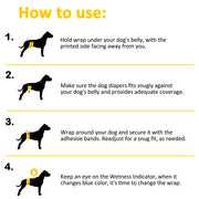 Dono male dog wrap diaper 4-step how-to-use guide: step 1 hold wrap under dog's belly with printed side facing away, step 2 ensure snug fit against belly with adequate coverage, step 3 wrap around and secure with adhesive bands, step 4 monitor wetness indicator and change when it turns blue