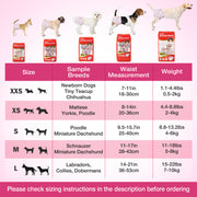 Dono female dog diaper size chart showing XXS to L with sample breeds, waist measurements, and weight ranges — from Chihuahua to Labrador Retriever