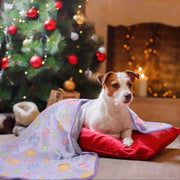 Dono Soft Fluffy Fleece Pet Blanket, Warm Sleep Mat with Paw Print Design, S/M/L/XL/XXL, 1 pack of 3