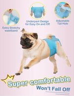 Pug walking comfortably wearing Dono female dog diaper in blue denim pattern, with 3 feature callouts: extra stretchy waistband, underpant design for easy on and off, and adjustable tail hole, captioned 
