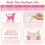 Dono's Diary Pull Up female dog diaper 