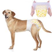 Labrador wearing Dono pull-up disposable female dog diaper in yellow paw print pattern, Medium size, with hands holding the diaper open showing elastic waistband, on white background