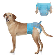 Labrador wearing Dono disposable female dog diaper in blue denim pattern, Large size, with inset showing hands stretching open the diaper to display elastic waistband and tail hole, on white background
