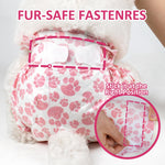 White Bichon Frise wearing Dono disposable pull-up female dog diaper in pink paw-print pattern, rear view showing 