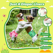 Two Jack Russell Terriers playing outdoors wearing Dono diapers — one in pink floral female diaper, one in green paw-print male diaper — 