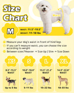 Dono pull-up female dog diaper size chart highlighting M size 11.5–19.5in waist 11–18lbs with Bichon Frise example, plus XS 8.5–15.5in up to 5lbs, S 10–18in 5–11lbs, L 13.3–21.2in 15–22lbs, XL 14.9–22.8in 18–33lbs with Yorkshire Terrier, Pug, Beagle, and Labrador examples