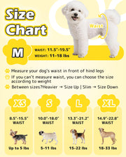 Dono pull-up female dog diaper size chart highlighting M size 11.5–19.5in waist 11–18lbs with Bichon Frise example, plus XS 8.5–15.5in up to 5lbs, S 10–18in 5–11lbs, L 13.3–21.2in 15–22lbs, XL 14.9–22.8in 18–33lbs with Yorkshire Terrier, Pug, Beagle, and Labrador examples