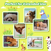 Dono dog diaper liner 