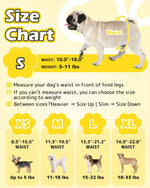 Dono pull-up female dog diaper size chart highlighting S size 10–18in waist 5–11lbs with Pug example, plus XS 8.5–15.5in, M 11.5–19.5in 11–18lbs, L 13.3–21.2in 15–22lbs, XL 14.9–22.8in 18–33lbs with Yorkshire Terrier, Bichon, Beagle, and Labrador examples