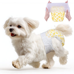 White Maltese running while wearing Dono pull-up disposable female dog diaper in yellow paw print pattern, with hands holding the diaper showing elastic waistband, on white background