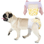 Pug wearing Dono pull-up disposable female dog diaper in yellow paw print pattern, Small size, with hands holding the diaper open showing elastic waistband, on white background