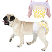 Pug wearing Dono pull-up disposable female dog diaper in yellow paw print pattern, Small size, with hands holding the diaper open showing elastic waistband, on white background