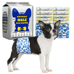 Black-and-white Boston Terrier wearing Dono's Diary disposable male dog diaper in blue paw-print pattern, side view, with stack of folded diapers (blue paw-print, yellow bone, green dog-bowl patterns) and Dono's Diary Disposable Male Dog Diapers S packaging, features No Leakage, Two Patterns, Soft & Dry, on white background