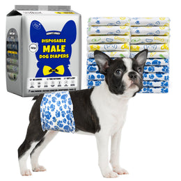 Black-and-white Boston Terrier wearing Dono's Diary disposable male dog diaper in blue paw-print pattern, side view, with stack of folded diapers (blue paw-print, yellow bone, green dog-bowl patterns) and Dono's Diary Disposable Male Dog Diapers S packaging, features No Leakage, Two Patterns, Soft & Dry, on white background