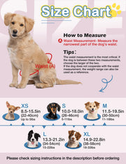 Dono female dog diaper full size chart with waist measurement guide: XS 8.5–15.5in (22–40cm) up to 5lbs with Chihuahua, S 10.0–18.0in (26–46cm) 5–11lbs with Dachshund, M 11.5–19.5in (30–50cm) 11–18lbs with mixed breed, L 13.3–21.2in (34–54cm) 15–22lbs with Border Collie, XL 14.9–22.8in (38–58cm) 18–33lbs with mixed breed, featuring Golden Retriever demonstrating waist measurement point A