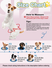Dono female dog diaper full size chart with waist measurement guide featuring Jack Russell Terrier: XS 8.5–15.5in (22–40cm) up to 5lbs with Chihuahua, S 10.0–18.0in (26–46cm) 5–11lbs with Dachshund, M 11.5–19.5in (30–50cm) 11–18lbs with mixed breed, L 13.3–21.2in (34–54cm) 15–22lbs with Border Collie, XL 14.9–22.8in (37–57cm) 18–33lbs with mixed breed