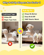 Comparison infographic showing traditional tape dog diaper sliding off a Bichon Frise vs Dono pull-up dog diaper staying secure while dog jumps, highlighting stays on better, easy on and off, and 360° elastic waist