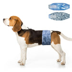 Adult Beagle wearing Dono disposable male dog belly band in grey camouflage print, side profile standing pose, with flat lay of blue denim and grey camouflage belly band designs shown in upper right corner, on white background