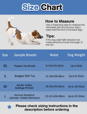Dono male dog wrap diaper size chart: XS waist 6–13in/15–33cm up to 8lbs for Puppies/Toy Breeds, S waist 12–19in/30–48cm up to 8–25lbs for Beagles/Shih Tzu, M waist 18–25in/45–63cm up to 18–35lbs for Border Collies/Bulldogs/Pit Bulls, L waist 25–32in/63–80cm up to 35–55lbs for German Shepherd/Labrador/Golden Retrievers, with measuring guide showing Jack Russell Terrier, on blue and white background