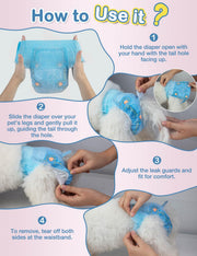 Dono female dog diaper 4-step how-to-use guide on a white fluffy dog: step 1 hold diaper open with tail hole facing up, step 2 slide over pet's legs and pull up guiding tail through hole, step 3 adjust leak guards for comfort, step 4 remove by tearing off both sides at waistband
