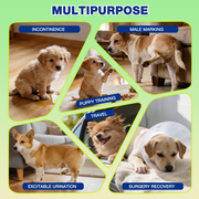 Dono's Diary male dog belly band diaper multipurpose use case infographic showing 6 scenarios: incontinence, male marking, puppy training, travel, excitable urination, and surgery recovery